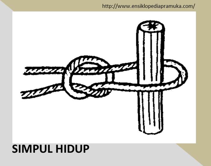 Simpul Simpul Pramuka